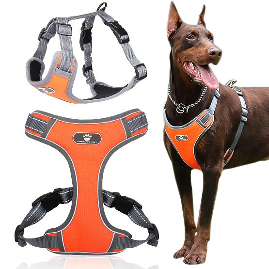 Trainings-Gassigehgeschirr für Hunde ASTRO orange Größe XL