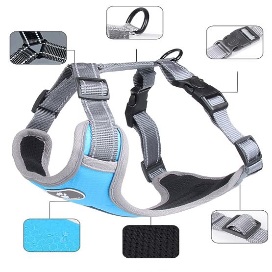 Trainingsgeschirr für Hunde ASTRO blau Größe M