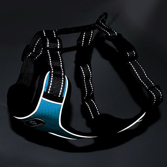 Trainingsgeschirr für Hunde ASTRO blau Größe S