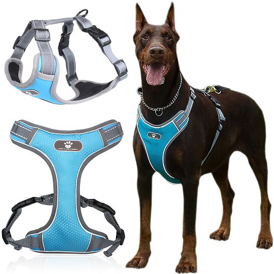 Trainingsgeschirr für Hunde ASTRO blau Größe XL