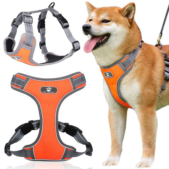 Trainingsgeschirr für Hunde ASTRO orange Größe L