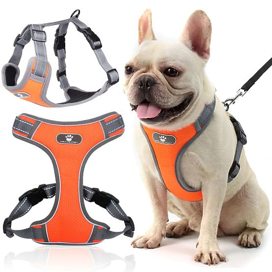 Trainingsgeschirr für Hunde ASTRO orange Größe S