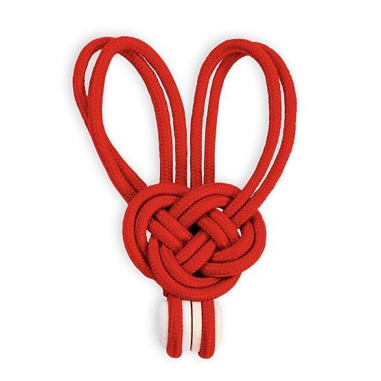 Vorhänge - Zubehör EDMONTON Farbe Rot ameliahome