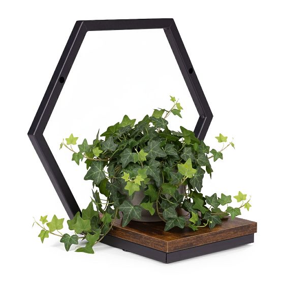 Wandblumentopf hängendes Regal für Pflanzen Dekoration Loft Hexagon ModernHome