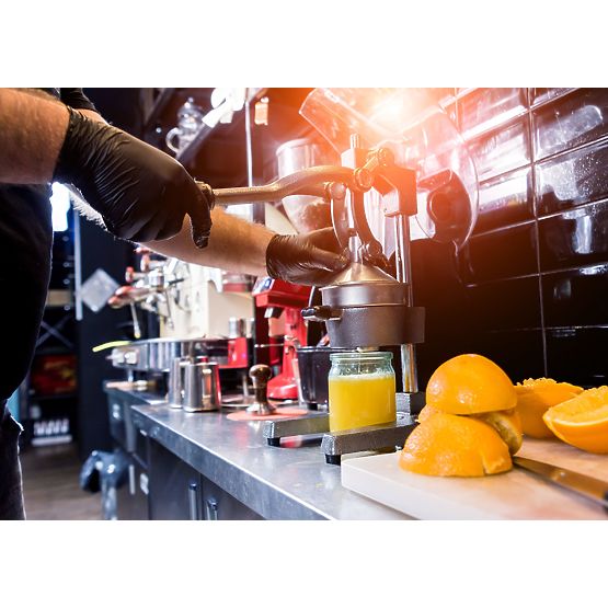 Zitrus- und Granatapfelentsafter Verna