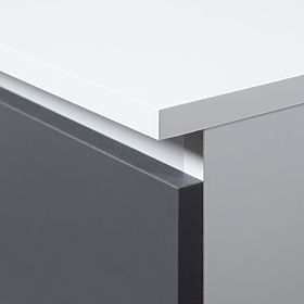 GESCHLOSSENES REGAL R60 2D 1SZ CLP PK WEISS / GRAU