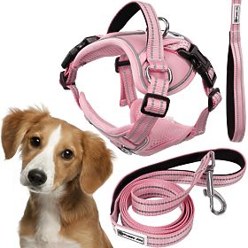 Hundeleine und Geschirr PJ-056 rosa M, PuppyJoy