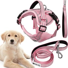 Hundeleine und Geschirr PJ-060 rosa L, PuppyJoy