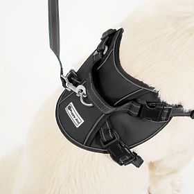 Hundeleine und Geschirr PJ-063 schwarz XL, PuppyJoy