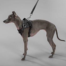 Leine und Geschirr für Hund PJ-051 schwarz S, PuppyJoy