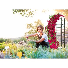 Metallpergola Pfosten dunkelgrün 190 cm