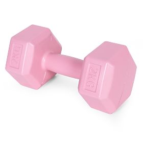 Sechseckige Hanteln Set 2x2 kg Fitness Gewichte rosa ModernHome