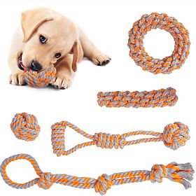 Set von Zerrspielzeugen für Hunde SPANKY 5 Stück