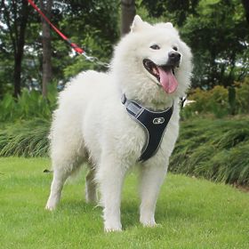 Trainingsgeschirr für Hunde ASTRO blau Größe L