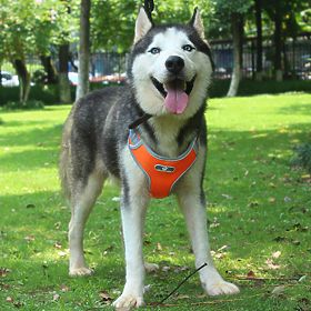 Trainingsgeschirr für Hunde ASTRO orange Größe L