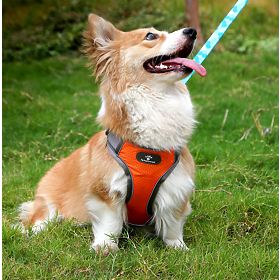 Trainingsgeschirr für Hunde ASTRO orange Größe S